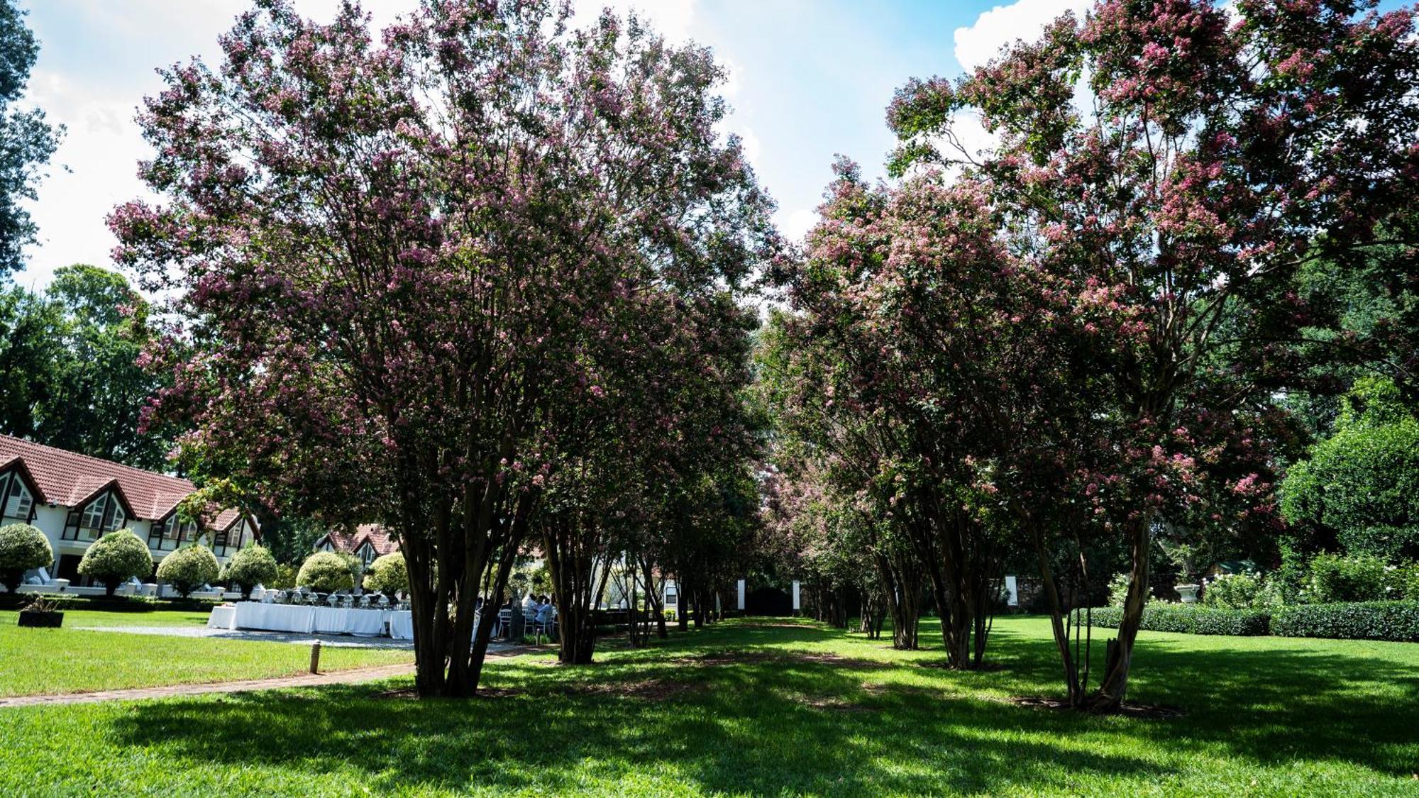 River Meadow Manor Centurion Eksteriør billede